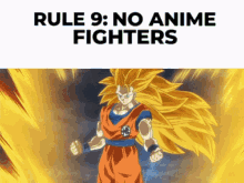 Discord Rules Ssj3goku GIF - Discord Rules Ssj3Goku Anime Fighters